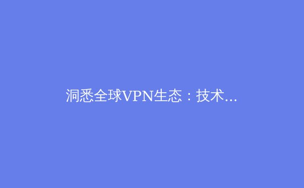 洞悉全球VPN生态：技术演进、法规博弈与用户安全新范式 - 3