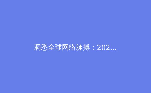 洞悉全球网络脉搏：2024年VPN技术趋势与安全应用深度解析 - 3