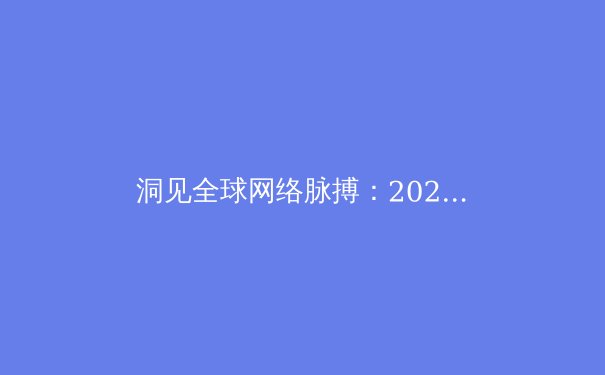 洞见全球网络脉搏：2024年VPN技术趋势与安全应用深度解析 - 2