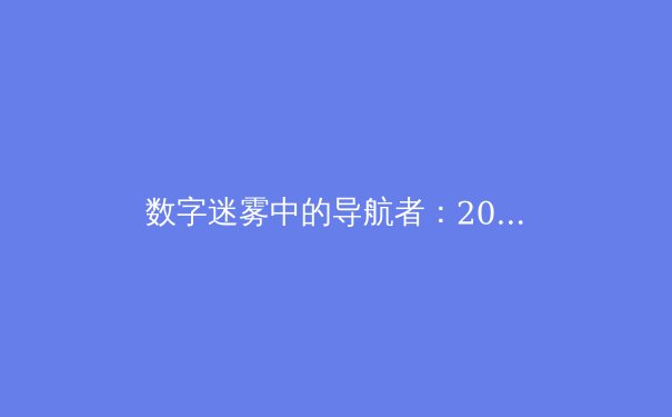 数字迷雾中的导航者：2024年全球VPN技术演进与安全格局深度解析 - 4
